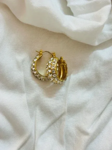 18K Gold Plated Earring